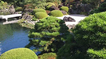 淺談中國古典園林中的假山藝術